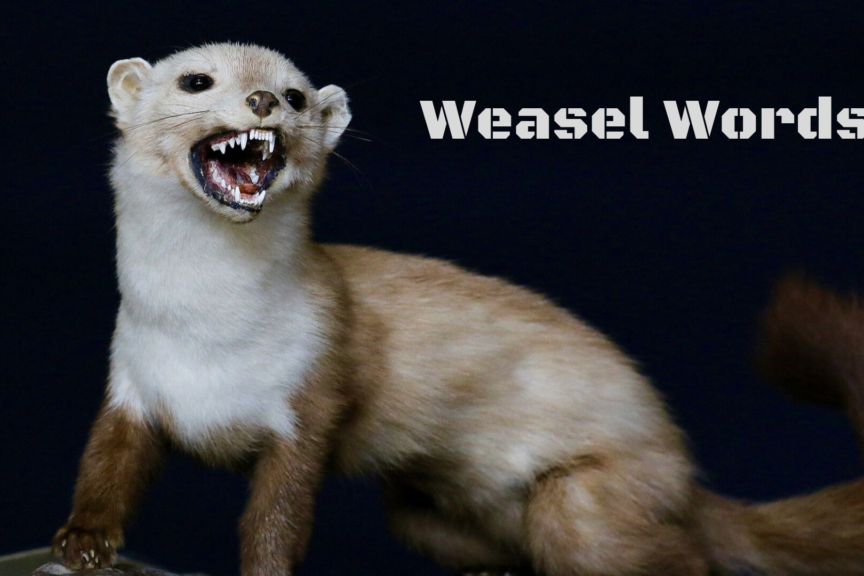Kill The Weasel Words in Your Website Content: Convert Faster- weasel words should be used sparingly