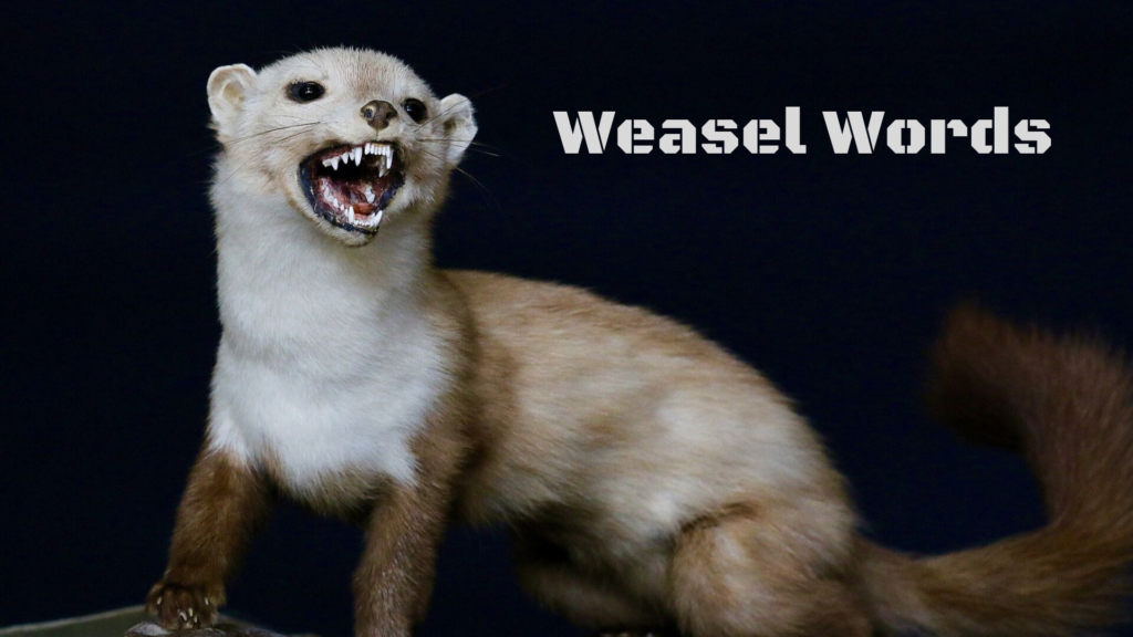 Kill The Weasel Words in Your Website Content: Convert Faster- weasel words should be used sparingly